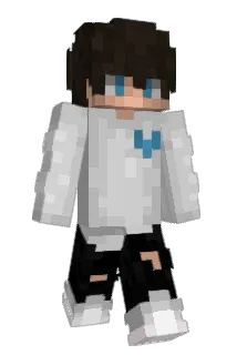 JohanLu Minecraft avatar full body