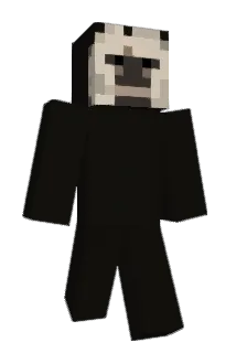 JohanSolo Minecraft avatar full body