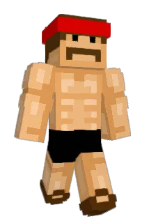 Johnfooladi Minecraft avatar full body