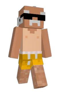 Jokkeontop Minecraft avatar full body