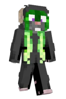 Jokujani Minecraft avatar full body