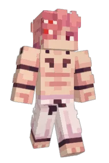 Jolip Minecraft avatar full body