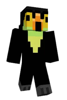 JonJinks Minecraft avatar full body