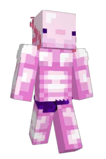 JonMathys33 Minecraft avatar full body