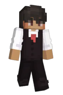 JonasWerder Minecraft avatar full body