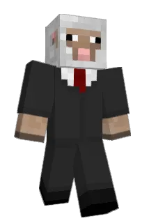 JoonDaShep Minecraft avatar full body