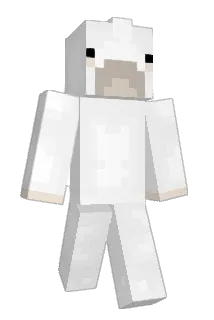 Jooobls Minecraft avatar full body