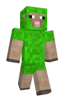 Jooonamus Minecraft avatar full body