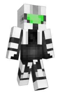 JoyHwang_ Minecraft avatar full body