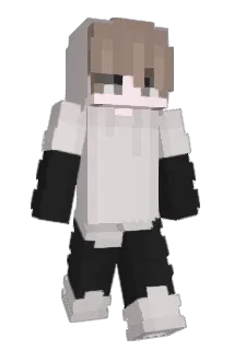 JunSungi Minecraft avatar full body