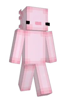 Juniixr Minecraft avatar full body