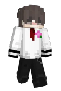 Junior7Lego Minecraft avatar full body