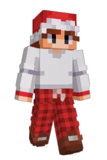 JunkyDokney Minecraft avatar full body