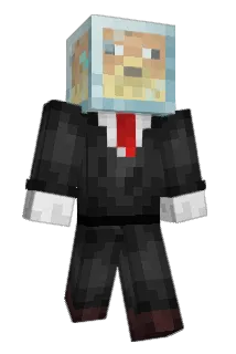Junndicator Minecraft avatar full body