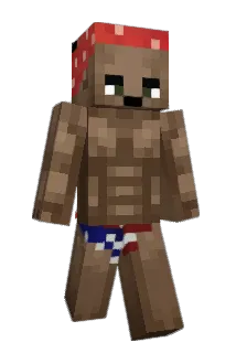 Jupeb0i Minecraft avatar full body