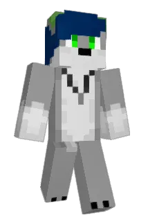 JustAcceptIt Minecraft avatar full body