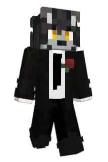Juvne Minecraft avatar full body
