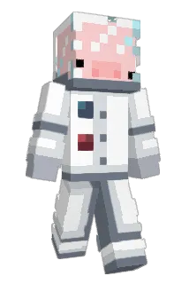 Jwhy1 Minecraft avatar full body