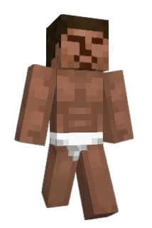 K11f Minecraft avatar full body