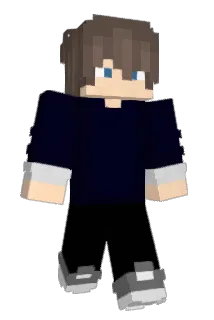 K23032004 Minecraft avatar full body