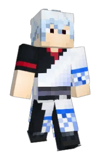 K4rlP3ter Minecraft avatar full body