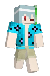 KA1_0 Minecraft avatar full body