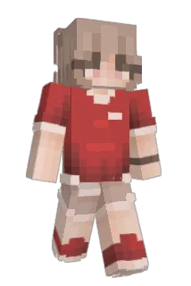 KDAWG637 Minecraft avatar full body
