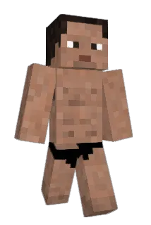 KEI12344 Minecraft avatar full body