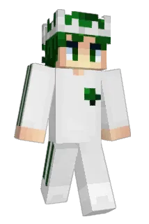 KINGDOMM1 Minecraft avatar full body