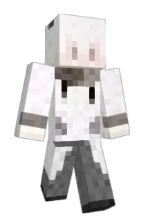 KM_12_13 Minecraft avatar full body