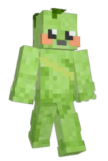 KOOCAM Minecraft avatar full body