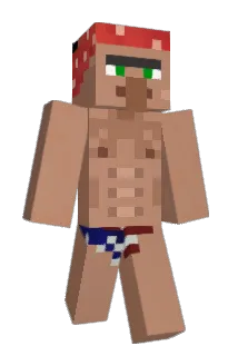 KOSB6296 Minecraft avatar full body