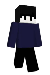 KSW110405 Minecraft avatar full body