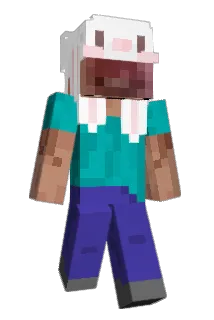 KaMuSaMua Minecraft avatar full body