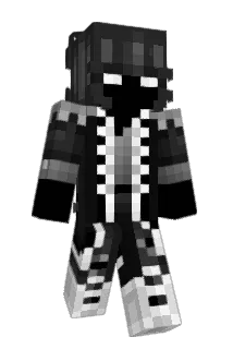 Kaakti_ Minecraft avatar full body