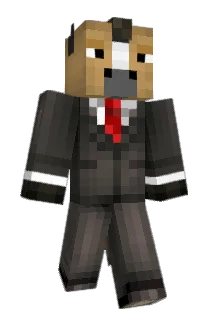 Kacidicc Minecraft avatar full body