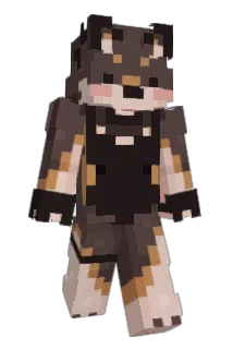 Kaided Minecraft avatar full body