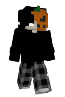 Kajtek504 Minecraft avatar full body