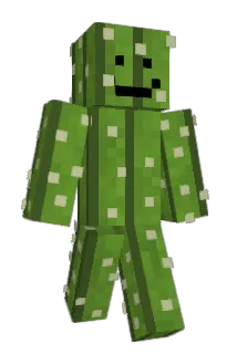 Kaktuse1 Minecraft avatar full body