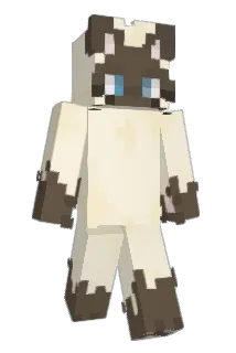 Kanyewestlover55 Minecraft avatar full body