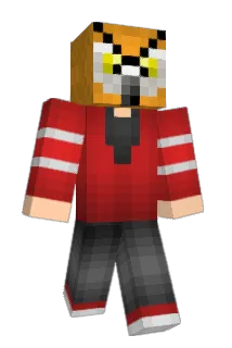 KaousNinja Minecraft avatar full body