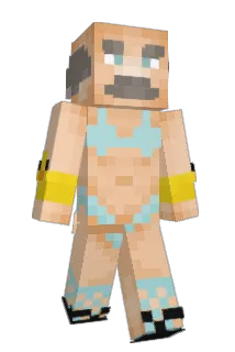 KarIrein Minecraft avatar full body