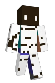 KarottenWLAN Minecraft avatar full body