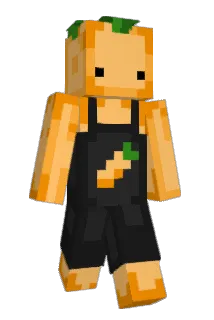Karottenruebe Minecraft avatar full body