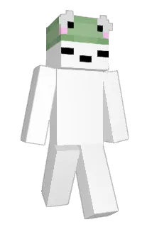 Kartierr Minecraft avatar full body