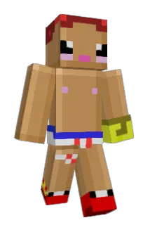 Karton715 Minecraft avatar full body