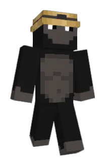 Kartosz Minecraft avatar full body