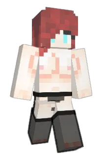 Kaschle Minecraft avatar full body