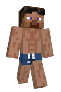 Kasolar Minecraft avatar full body