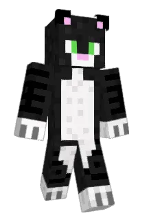 Katzegamer Minecraft avatar full body